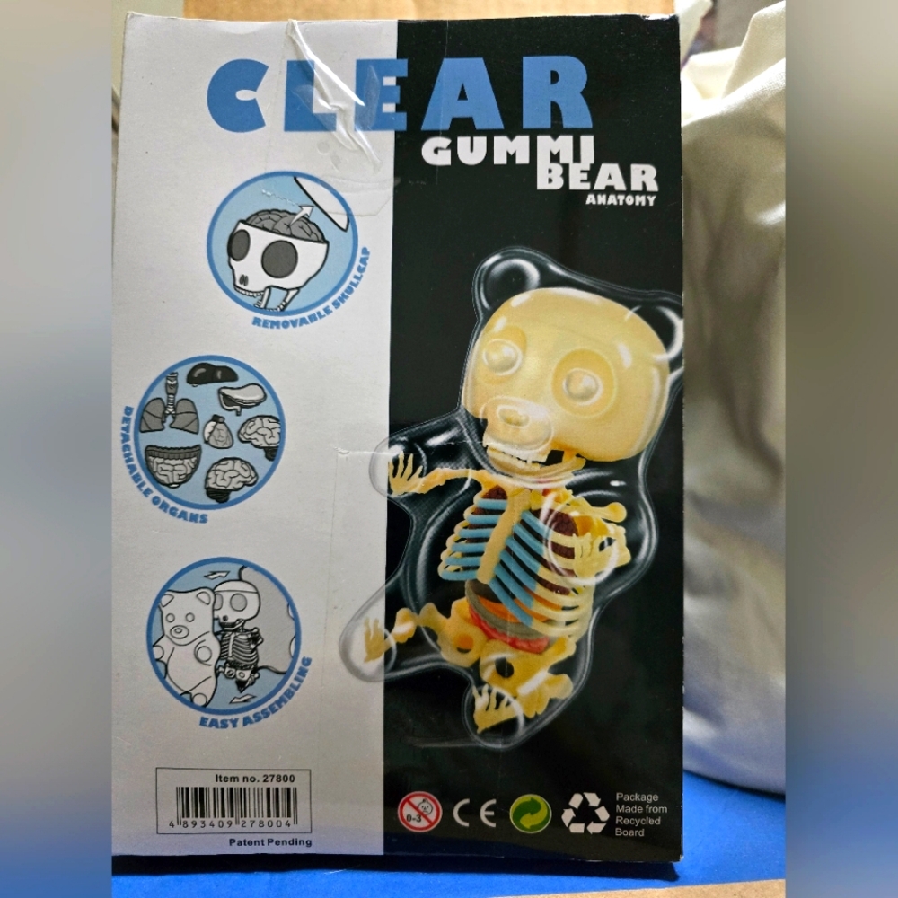 4D Master Gummi Bear Anatomy